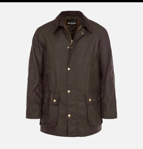 Ashby Jacket Olive