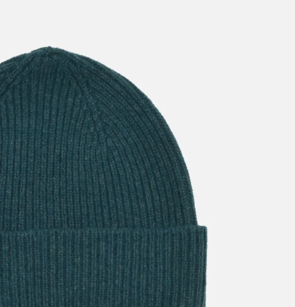 bonnet_barra_shrub_1.webp Bonnet Barra Shrub