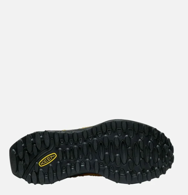 Jasper Zionic M Sorrel Horse B